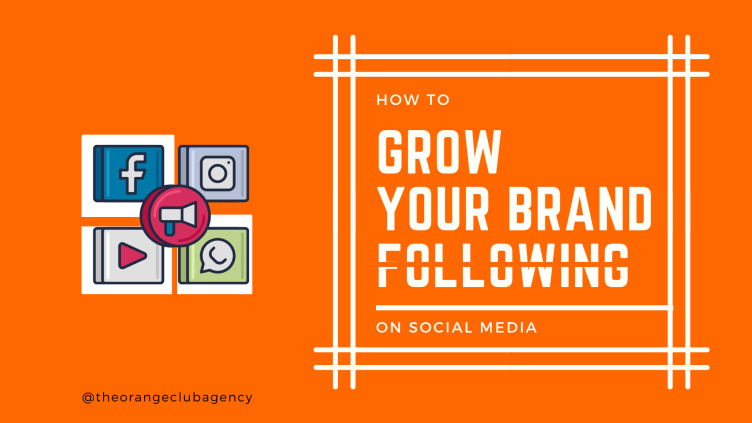 how to grow brand following on social media?